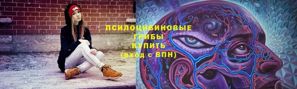 герыч Лагань